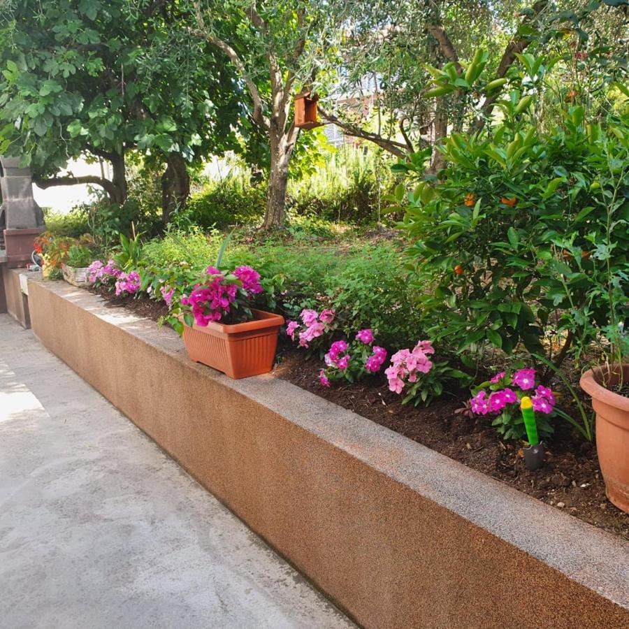 Apartma Lana21 Apartment Koper Bagian luar foto